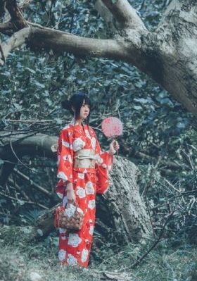莲花楼电视剧免费完整版_DVD在线播放观看